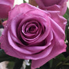 Simply Roses