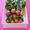 A boxed set (10 stems) of Peonies