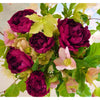 La pivoine rouge