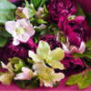 La pivoine rouge