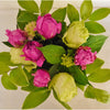 Peonies Lime & Mauve