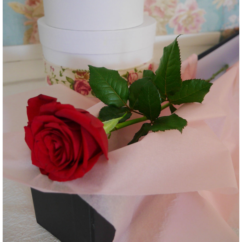 One Love.  A single red rose can sometimes say it all!  A simple message to your "one Love".  Premium long stem red rose caressed with soft pink tissue and delivered protected in a quality rose box tied off with roses scented ribbons. 